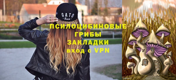 ALPHA PVP Ладушкин
