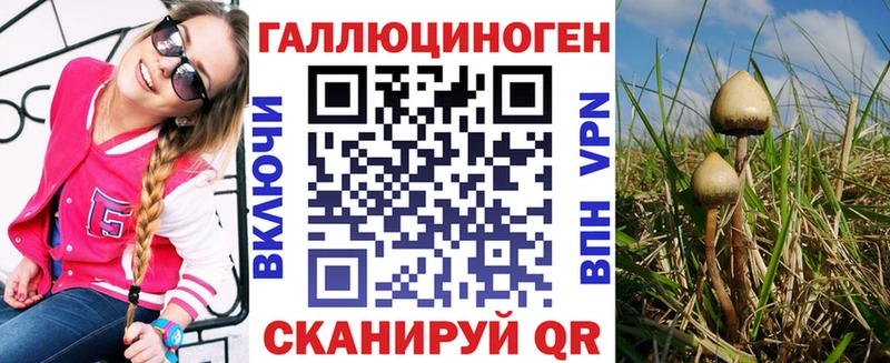 Купить закладки  Макушино  Псилоцибиновые грибы мицелий 